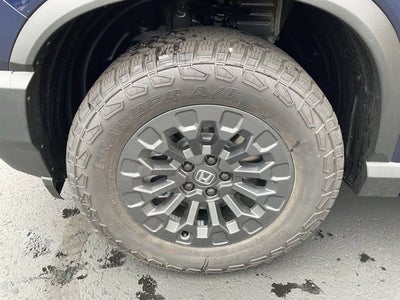 2026 Honda Passport TrailSport